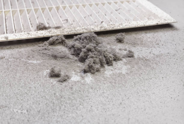 HVAC Maintenance and Cleaning in IL