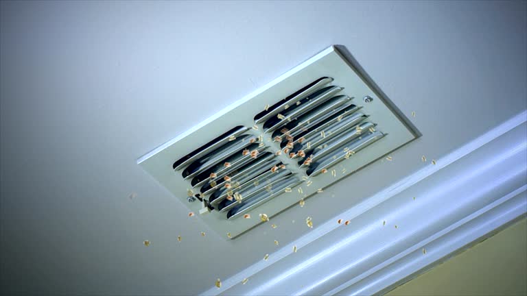 Best Ductwork Cleaning Services  in South Chicago Heights, IL