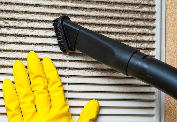 Best Affordable Duct Cleaning Services  in South Chicago Heights, IL